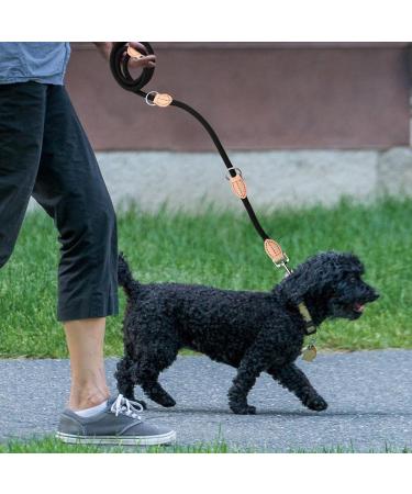 2m Dog Leash with Carabiners | Durable Nylon Training Line for Small Medium & Large Dogs - Adjustable & Portable (Red) - Buy Online on SooperMarket.com