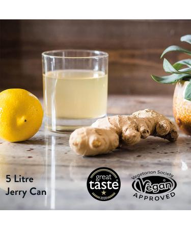 Organic WILLY'S Apple Cider Vinegar with Mother - 5L Jerry Can - Probiotics for Detox & Gut Health - Sustainable ACV - 5 l (1 Pack) - Buy Online on SooperMarket.com