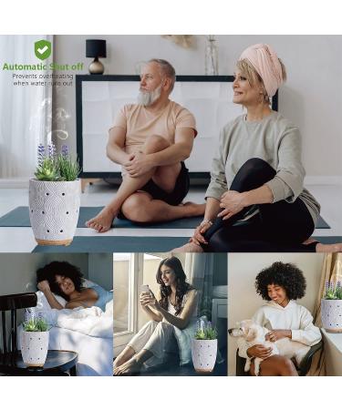Artificial Succulent Plants Potted Essential Oil Diffuser with 7 Colors LED Light - Grey | Aromatherapy Ceramic Cool Mist Diffuser for Home and Office - Buy Online on SooperMarket.com