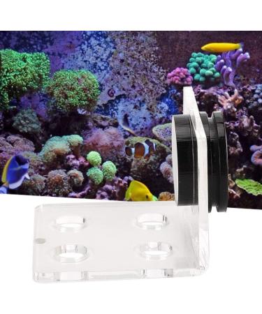 Buy Cikonielf Magnetic Coral Frag Rack - 4 Hole Transparent Acrylic Aquarium Coral Holder for International Shipping - Buy Online on SooperMarket.com
