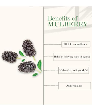 Good Vibes Mulberry Toner 120 ml | Maintain Skin Elasticity & Healthy Complexion - International Shipping Available - Buy Online on SooperMarket.com