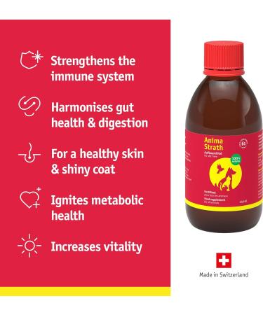 Anima-Strath Natural Food Supplement for Dogs & Cats | Immune System & Digestive Care with 61 Vital Nutrients Vitamins Minerals Amino Acids & Prebiotic Qualities | BARF Diet Food Topper (250 ml) Herbal 250 ml (Pack of 1) - Buy Online on SooperMarket.com