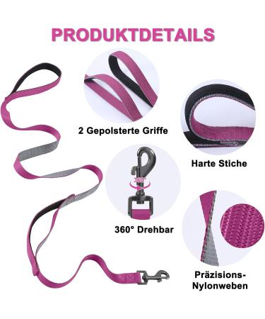 Demigreat Long Dog Leash - 1.5m/3m/5m Robust Training Line with Padded Handle for Small to Large Dogs - Violet 16.5ft - Buy Online on SooperMarket.com