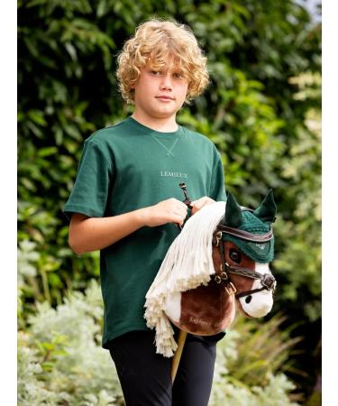 LeMieux Grackle Brown Bridle Toy Horse - Premium Quality for Equestrian Enthusiasts | International Shipping Available - Buy Online on SooperMarket.com