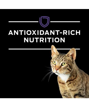 Purina Pro Plan Veterinary Diets DM Feline Formula Dry Cat Food - 10 lb Bag - Buy Online on SooperMarket.com