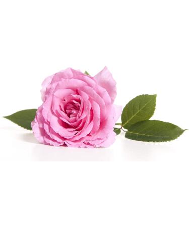 Buy OPO Rose Water Facial Toner Spray - 100% Natural Bulgarian Rosewater with Aloe & Tea Tree Hydrating & Rejuvenating Face Mist (8 oz) - No Alcohol International Shipping Available - Buy Online on SooperMarket.com