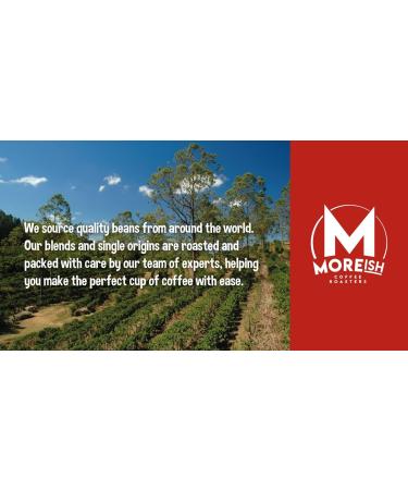 Moreish Coffee Roasters Strong Shit! Coffee Bags - Dark Roasted Blend (50 Count) - Buy Online on SooperMarket.com