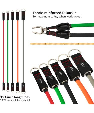 TheFitLife Exercise Resistance Bands with Handles - 5 Stackable Fitness Bands up to 300 lbs - Includes Handles, Ankle Straps, Door Anchor & Carry Bag - Buy Online on SooperMarket.com