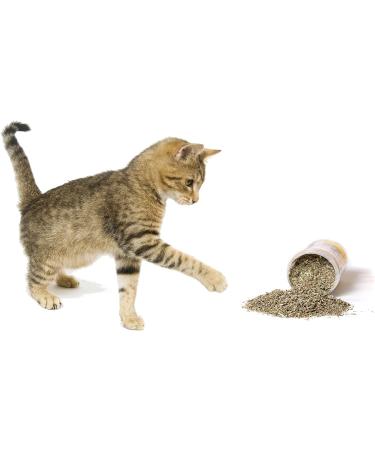 Cat Crack Organic Catnip Premium Blend for Maximum Potency - 1 Cup - Buy Online on SooperMarket.com