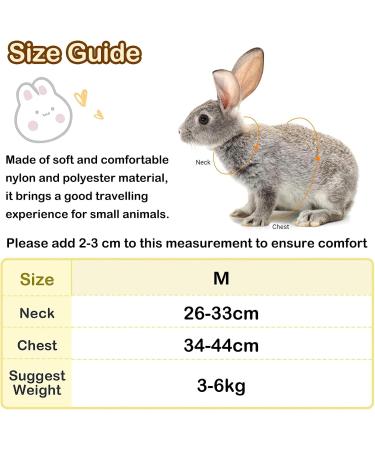 Adjustable Rabbit Dishes & Leash for Dwarf Rabbits | Soft Pet Bowls for Rabbits Cats & Small Dogs - International Shipping - Buy Online on SooperMarket.com