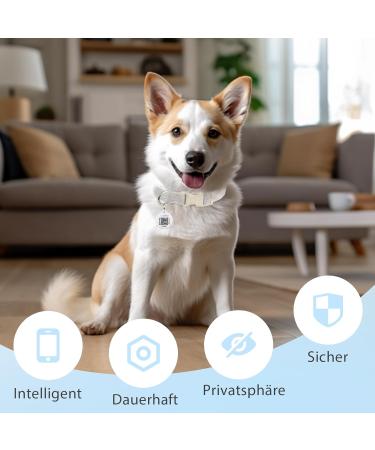 Personalized Dog Stamps & Engraved QR Code Tags | Customizable Pet Profiles | 2PCS-30MM | Ideal for Dogs & Cats | International Shipping - Buy Online on SooperMarket.com