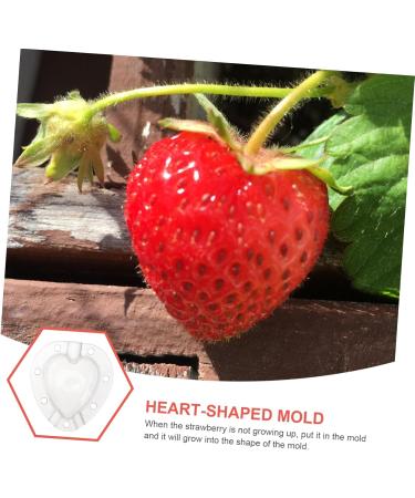 Kisangel 5pcs Fruit Shaping Vegetables Cucumber Fruit Shaper Cherry Tomatoes Stereotypes - Buy Online on SooperMarket.com