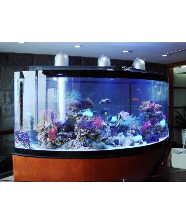 300W 500W Aquarium Heater | Auto Thermostat Submersible | Durable Quartz Glass | 500 W Fish Tank Heater | 3 Suckers | Saltwater Freshwater 50-90 Gallon - Buy Online on SooperMarket.com