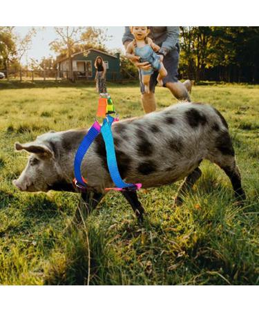 Buy Woyous Mini-Pig Crockery Set - Adjustable 2-Part Dishes for Small Pigs & Rabbits | Leash Included | Perfect for Walking & Jogging - Multi-Colored - Buy Online on SooperMarket.com