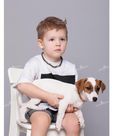 Buy Baltic Amber Dog Necklaces & Collars for Tick Protection - AmberForPets 26cm - Buy Online on SooperMarket.com