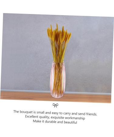 Abaodam 200 Pcs Dried Wheat Ears Bouquet Decked Dried Flower Bouquet Wheat Sheave Bundle Wheat Sheave Flower Wedding Decoration Wheat Stalk Ears of Wheat Gift Dried Flowers. Yellowx2pcs 52X10CMx2pcs - Buy Online on SooperMarket.com