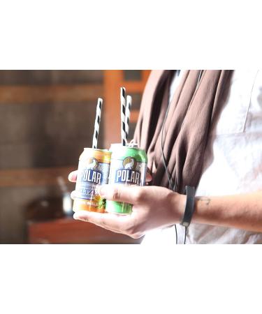 Polar Beverages All Flavor Variety Pack | 15 Pack of 12 Fl Oz Cans | Carbonated Sparkling Water with Natural Flavors - Buy Online on SooperMarket.com