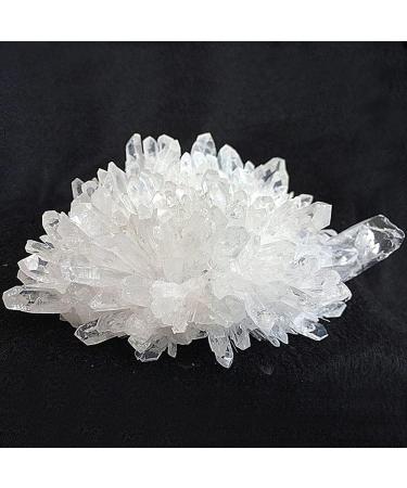 FUERLI Natural White of Original specimens (Size : 400g) HOMEZHOU (Size : 400g) - Buy Online on SooperMarket.com