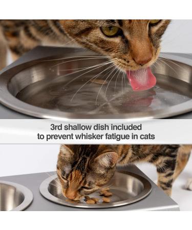 PetFusion Elevated Dog and Cat Bowls - Premium Anodized Aluminum Feeder with US Food Grade Stainless Steel Raised Bowls (Short 4 Metallic Gray) - Buy Online on SooperMarket.com