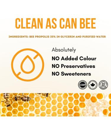 Herba Bee Propolis Throat Spray 30ml - No Alcohol | Helps Relieve Sore Throats and Mouth Infections | Rich in Flavonoids | 100% Natural - Premium Grade | Made in Canada | Alcohol Free Spray - Buy Online on SooperMarket.com