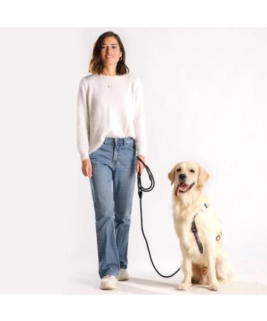 Hands-Free Dog Leash - 2m Adjustable Belly Belt 3-in-1 Running & Training Leash for Large & Small Dogs - Rope Leash in Black - Buy Online on SooperMarket.com