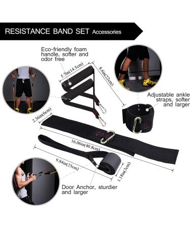TheFitLife Exercise Resistance Bands with Handles - 5 Stackable Fitness Bands up to 300 lbs - Includes Handles, Ankle Straps, Door Anchor & Carry Bag - Buy Online on SooperMarket.com
