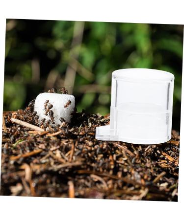 BELLIFFY 2pcs Ant Water Feeder Transparent Ant Water Feeding Bowl Ant Drinking Tool Mini Ant Feeder Acrylic - Buy Online on SooperMarket.com