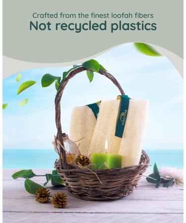 100% Natural Egyptian Luffa Sponge Set for Peeling Skin | Organic Dusch-Luffa Body Sponge for Cellulite & Dry Skin - Buy Online on SooperMarket.com