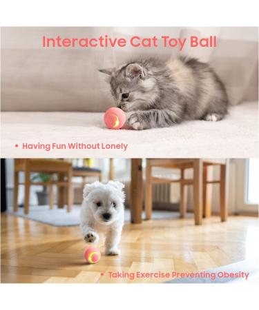 Baytion Interactive Cat Toy Ball with LED Light - USB Rechargeable (Pink) - Buy Online on SooperMarket.com