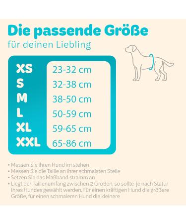 Dog is K nig Male Dog Diapers - Washable Comfort for Incontinence | Eco-Friendly Easy to Clean XS (23-32cm) - 3 Pack in Black Blue Green - Buy Online on SooperMarket.com