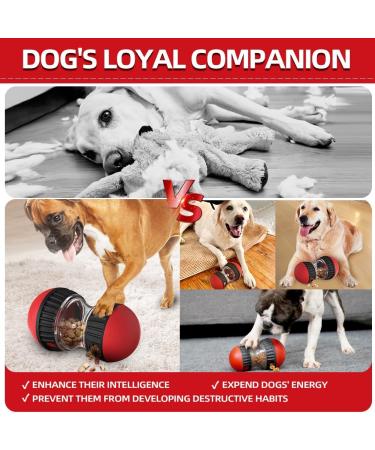 CAROZEN Interactive Dog Feeder Toy Dog Enrichment Toy Slow Feeder Toy for Dog Mental Stimulation Treat Puzzle for Dog Entertainment Food Dispenser Dog Toy - Buy Online on SooperMarket.com