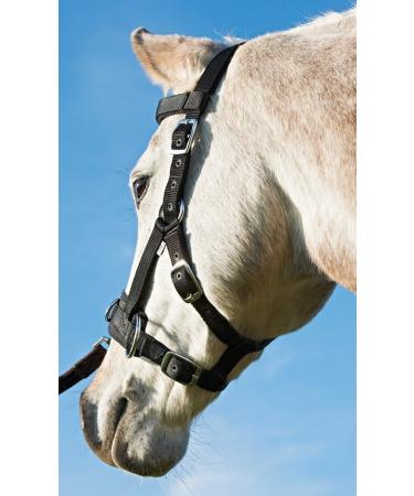 Busse Kappzaum Nylon Pro - High-Quality Equestrian Gear | International Shipping Available - Buy Online on SooperMarket.com