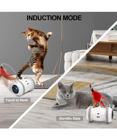 Nueplay Interactive Cat Toys with LED Light | Smart Electric Toy for Indoor Cats | USB Rechargeable Robotic Toy with Feathers | 2 Modes for Pet Exercise - Buy Online on SooperMarket.com