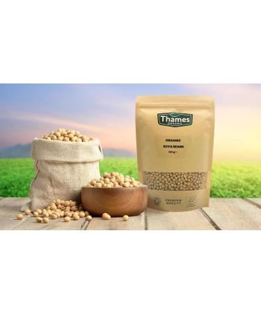Organic Soya Beans No Additives No Preservatives Raw High Fibre High Protein Vegan GMO-Free - Perfect for Plant-Based Recipes - Thames Organic 500g 500 g (Pack of 1) - Buy Online on SooperMarket.com