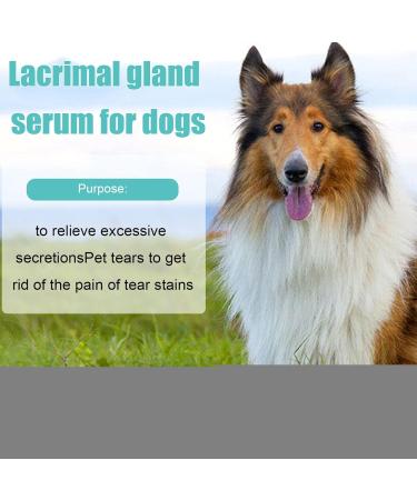 Eye Care Tear Stain Remover for Dogs & Cats - Effective Eye Drops for Inflammation - Better than Ointment - Buy Online on SooperMarket.com