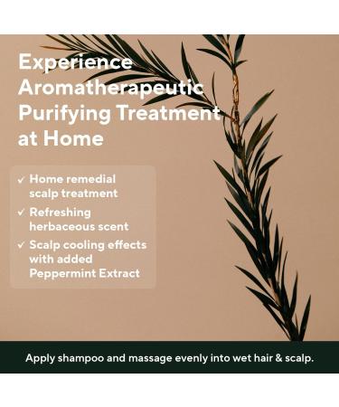 AROMATICA Tea Tree Purifying Tonic 3.38oz | Vegan & Paraben Free | Scalp Soothing & Cooling Formula | Promotes Healthy, Nourished Hair - Buy Online on SooperMarket.com