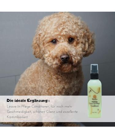 Moki B r Dog Shampoo with Argan Oil | Smooth Fur & Easy Combing | Made in Germany 250ml | International Shipping - Buy Online on SooperMarket.com