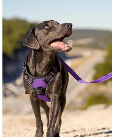 Joytale Reflective Dog Harness for Medium Dogs - Soft Padded Adjustable & Breathable with Control Handle - Purple (1 Pack) - Buy Online on SooperMarket.com