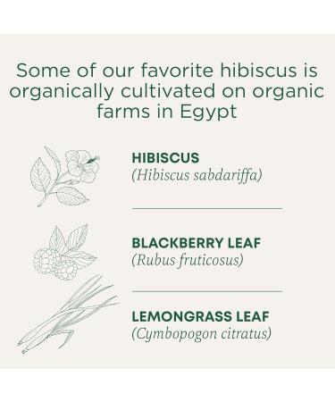 Traditional Medicinals - Organic Hibiscus Herbal Tea (Pack of 6) - Fair Trade Ingredients - Tart Tangy and Fruity - 96 Tea Bags Total Tea Hibiscus 16 count (Pack of 6) - Buy Online on SooperMarket.com