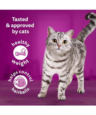 WHISKAS Adult Dry Cat Food - Indoor With Real Chicken 3kg Bag - Buy Online on SooperMarket.com