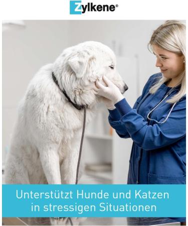 Buy Zylkene 450mg for Dogs & Cats - 50 Capsules | Calming Supplement for Stress Relief - International Shipping Available - Buy Online on SooperMarket.com