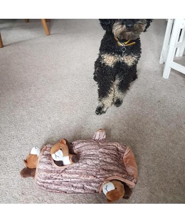 IFOYO Squeak Dog Toy - Durable Squirrel Hide and Seek Puzzle Plush Toy for Small/Medium Dogs - Buy Online on SooperMarket.com