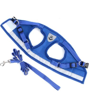 Ranphy Cat Dishes with Leash - Soft Fabric Harness & Breakable Paddle for Small & Adult Cats - Blue - Buy Online on SooperMarket.com
