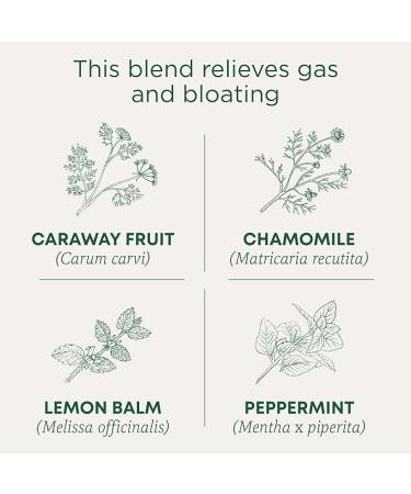 Traditional Medicinals Tea Organic Gas Relief  Relieves Gas & Bloating Chamomile Mint 16 Count (Pack of 6) - Buy Online on SooperMarket.com