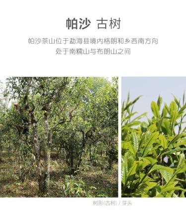 Pu-erh 2020 SHENG JIA YUAN Pasha 357g Raw - Buy Online on SooperMarket.com