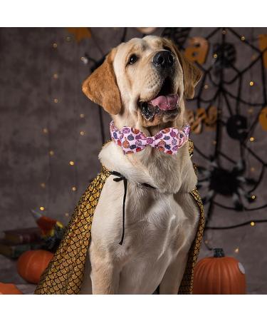Shop Aring Pet Halloween Dog Collar - Cute Pink Pumpkin with Bow for All Dog Sizes (Pack of 1) - Buy Online on SooperMarket.com