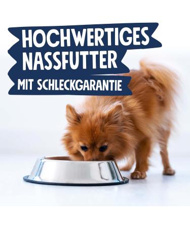 Pets Deli Wet Food for Small Dogs | Beef Buckwheat & Beetroot | Sugar & Gluten-Free 6x200g (16 Pack) - Buy Online on SooperMarket.com