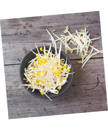 Alipis 200 Pcs Bean Sprouts Toy Bean Sprout Prop Faux Veggies Plastic Models Stress Reliever PVC Fake Food Assorted Color1x4pcs 10X5CMx4pcs - Buy Online on SooperMarket.com
