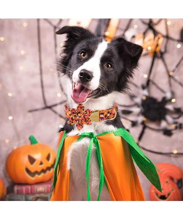 Buy Aring Pet Halloween Dog Halison - Sweet Orange Flower Design Adjustable Cotton Collars for All Dog Sizes (X-Large) - Buy Online on SooperMarket.com
