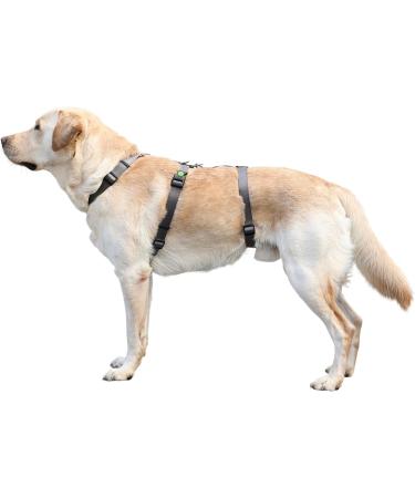 Kerbl 80042 Panic Harness Miami - Escape-Proof Adjustable Grey Dog Harness (48-70cm) for Safe Comfortable Travel - Buy Online on SooperMarket.com